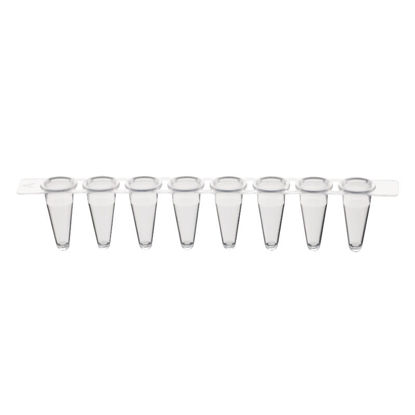 0.1ML PCR 8-STRIP TUBES, CLEAR, STERILE, NEST