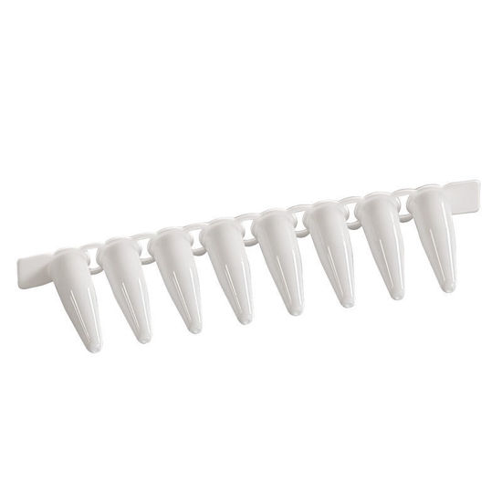 0.2ML PCR 8-STRIP TUBES, WHITE, STERILE, NEST