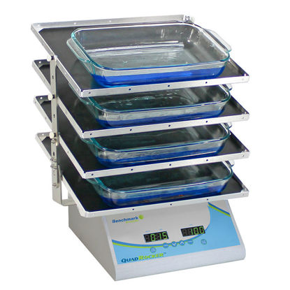 QUADROCKER™ ROCKER, BENCHMARK