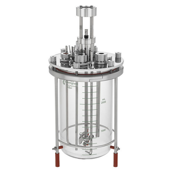 3L CELL CULTURE BIOREACTOR SYSTEMS, UNJACKETED, WITHOUT MOTOR