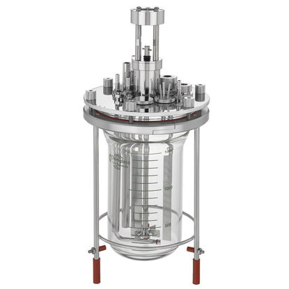 2L MICROBIAL FERMENTATION BIOREACTOR SYSTEMS, UNJACKETED