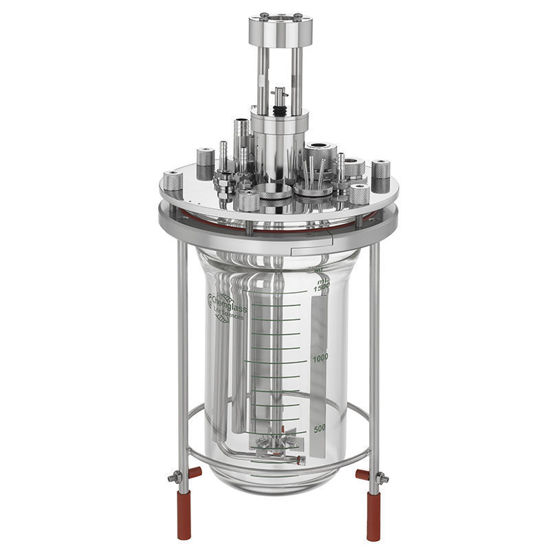 2L MICROBIAL FERMENTATION BIOREACTOR SYSTEMS, UNJACKETED