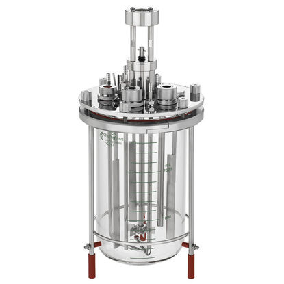 3L MICROBIAL FERMENTATION BIOREACTOR SYSTEMS, UNJACKETED