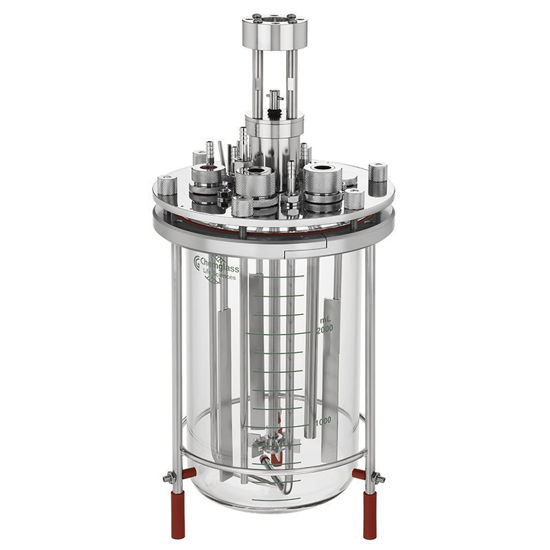 3L MICROBIAL FERMENTATION BIOREACTOR SYSTEMS, UNJACKETED