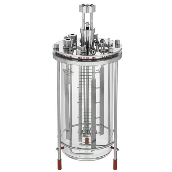 7L MICROBIAL FERMENTATION BIOREACTOR SYSTEMS, UNJACKETED, WITHOUT MOTOR